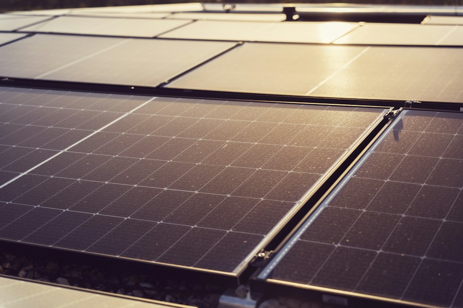 Solarmodule in der Abendsonne