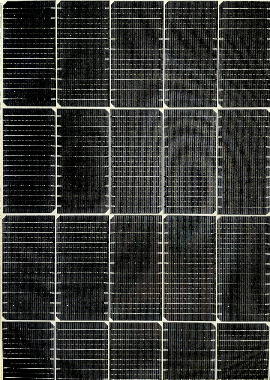 Schwarz-weiße Nahaufnahme eines Solarmoduls